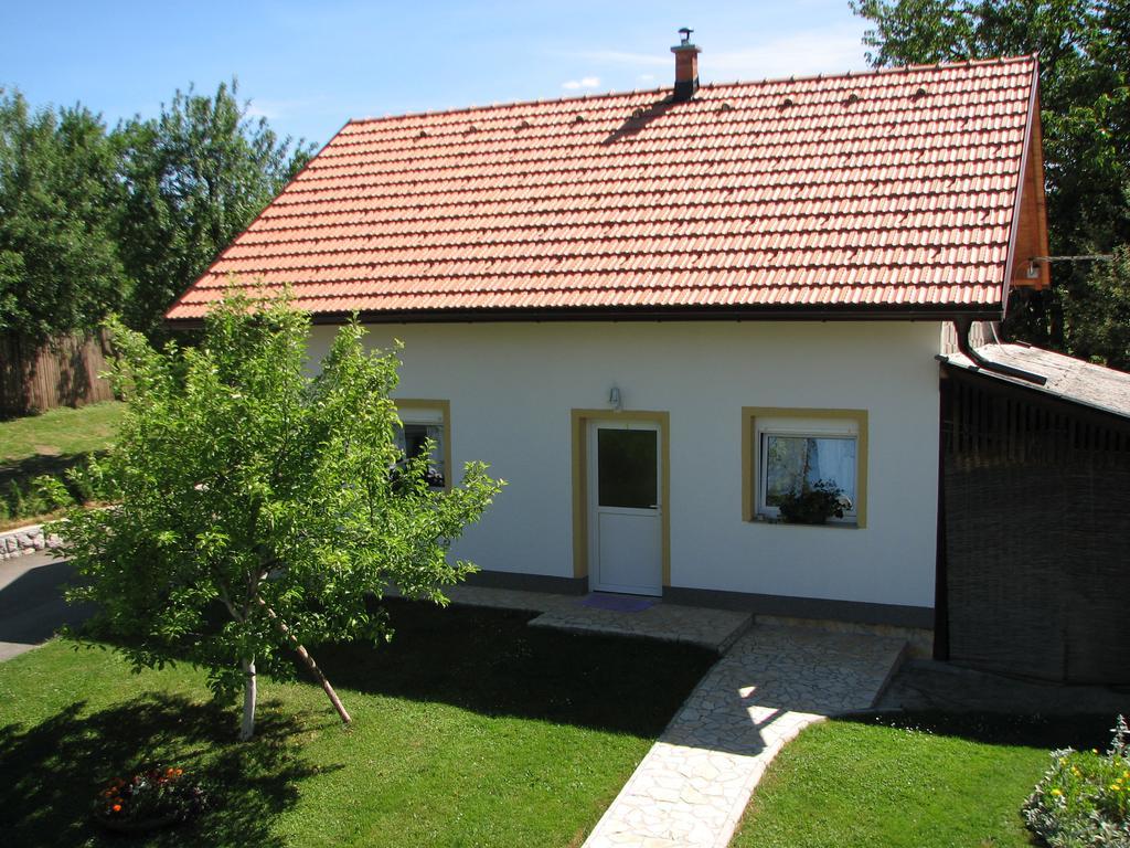 Apartment Ilija Rakovica Bagian luar foto