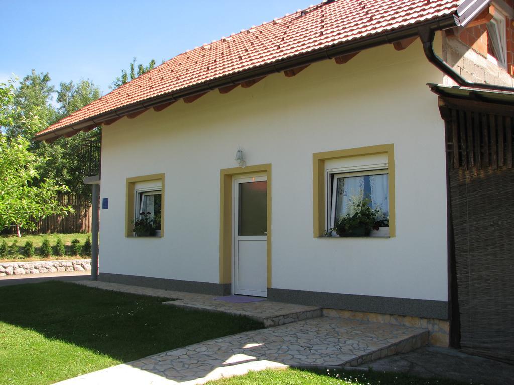 Apartment Ilija Rakovica Bagian luar foto